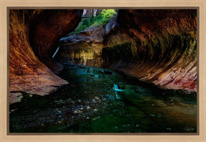 Zion's Abyss