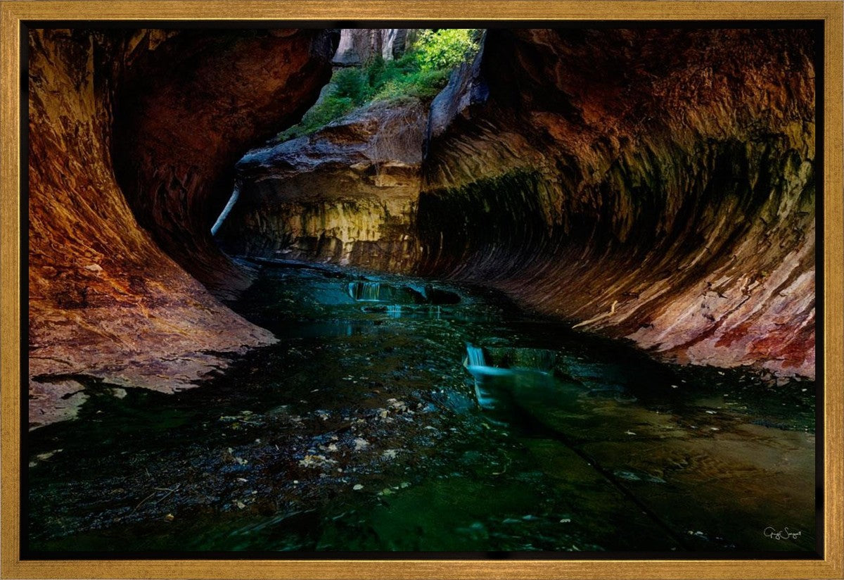 Zion's Abyss