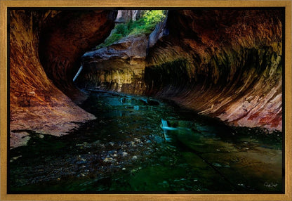 Zion's Abyss
