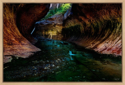Zion's Abyss