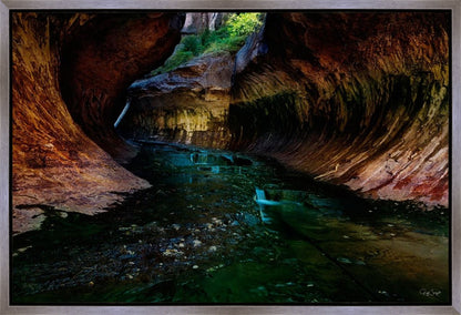 Zion's Abyss