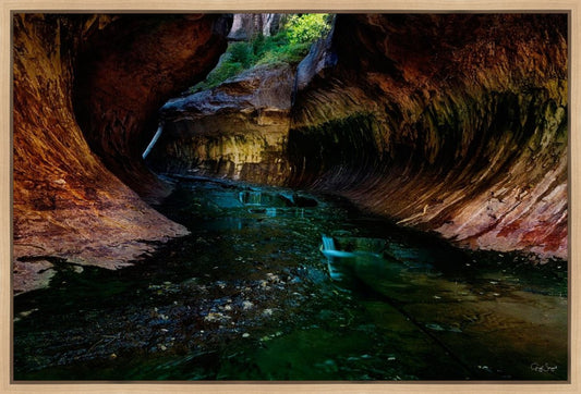Zion's Abyss