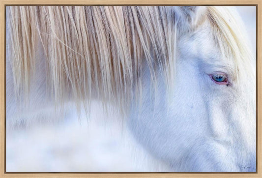White Gypsy