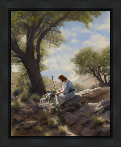 Shepherd's Counsel