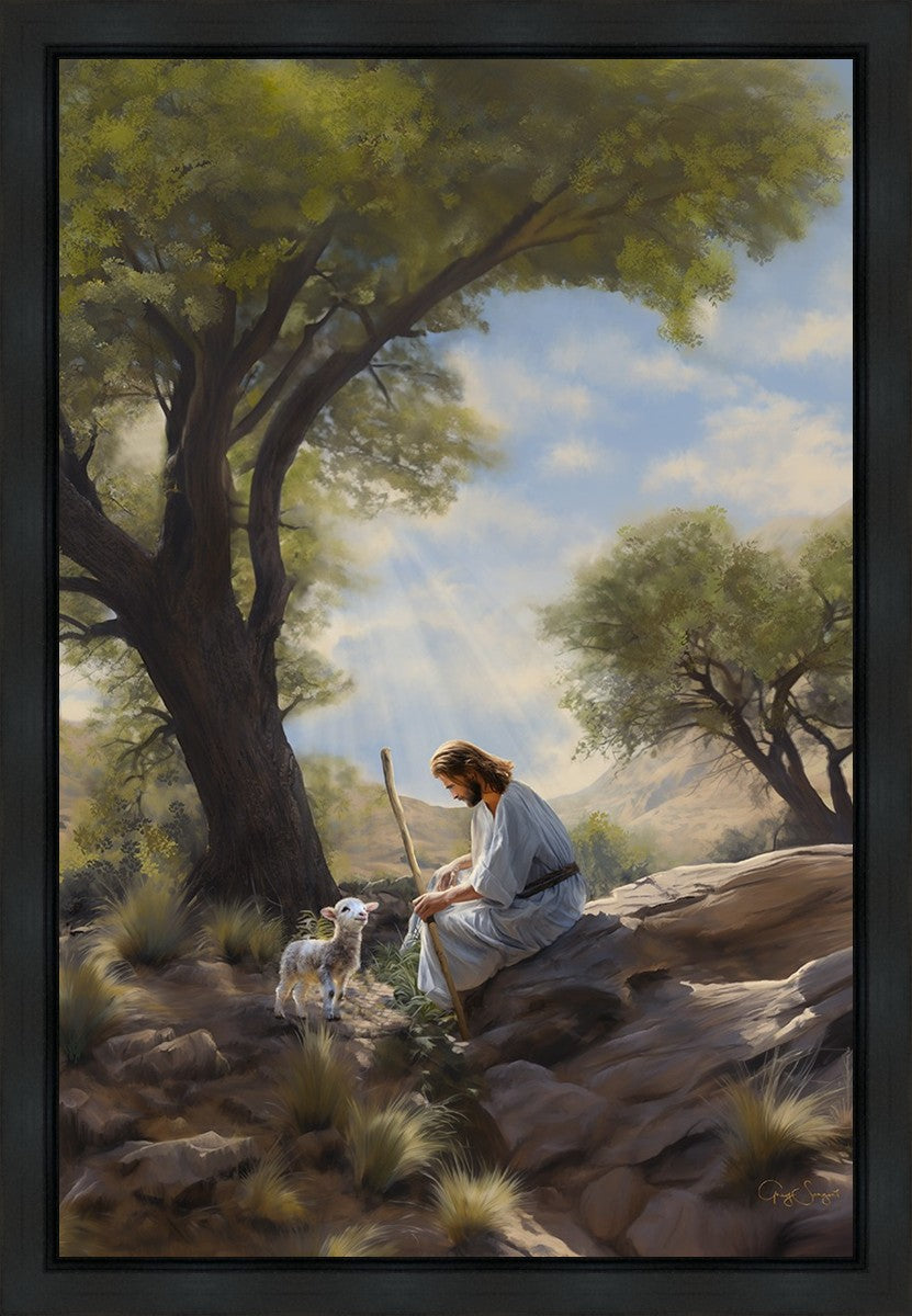 Shepherd's Counsel