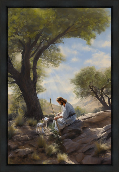 Shepherd's Counsel