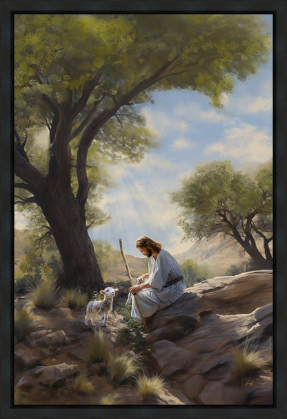 Shepherd's Counsel