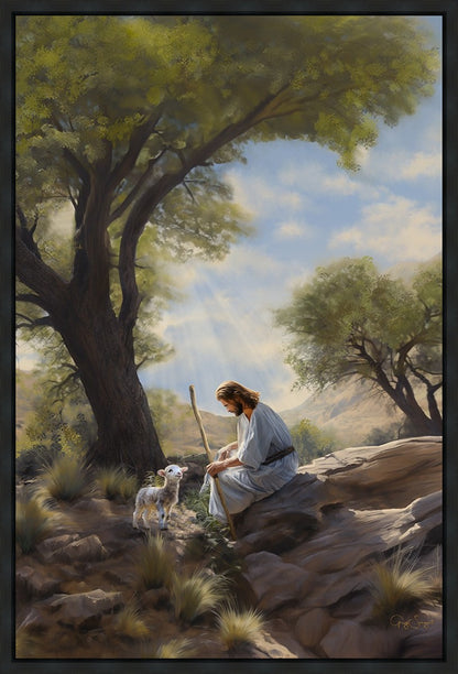 Shepherd's Counsel
