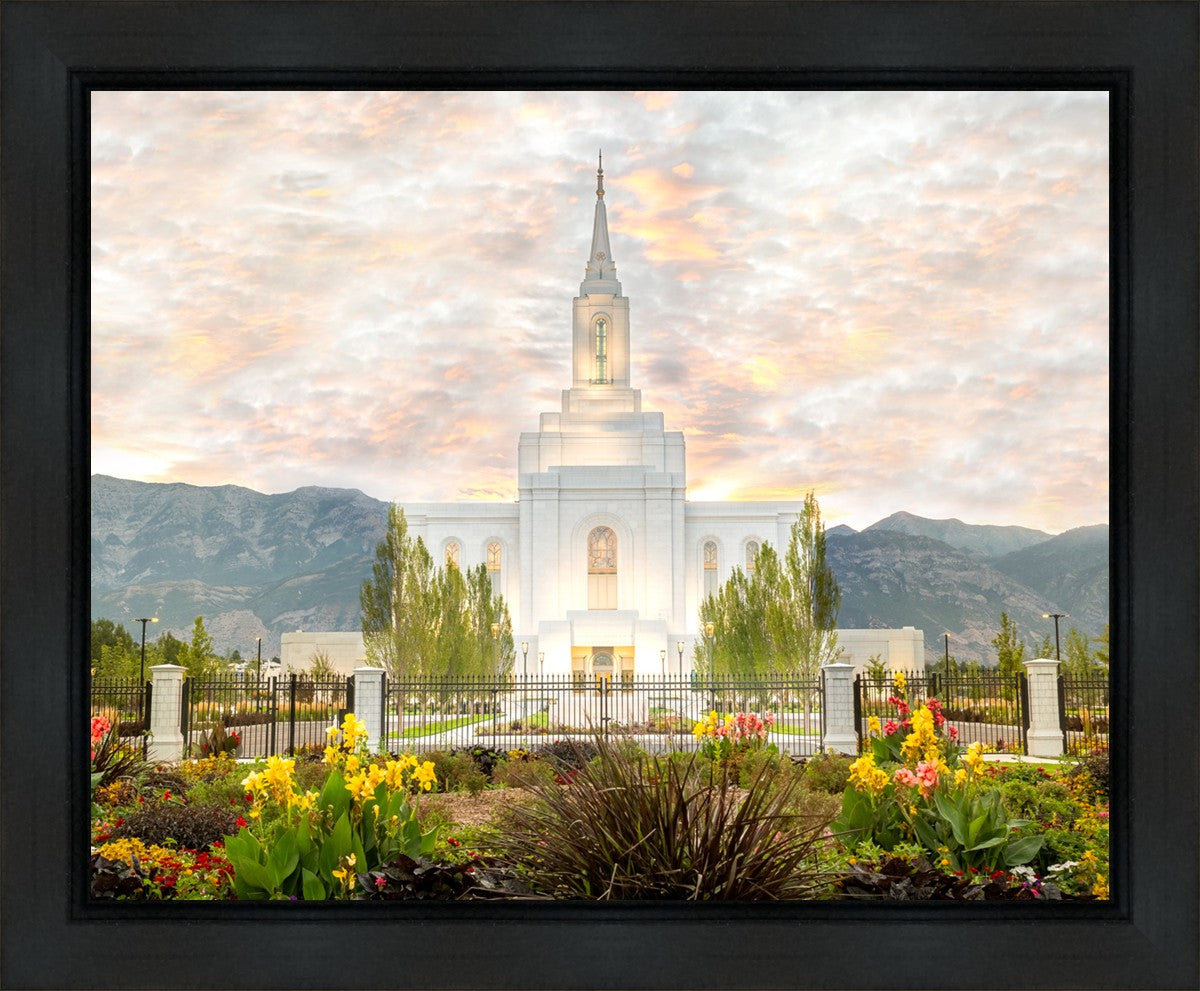 Orem Utah Sunrise Flowers