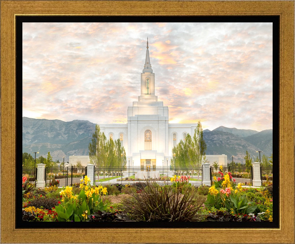 Orem Utah Sunrise Flowers