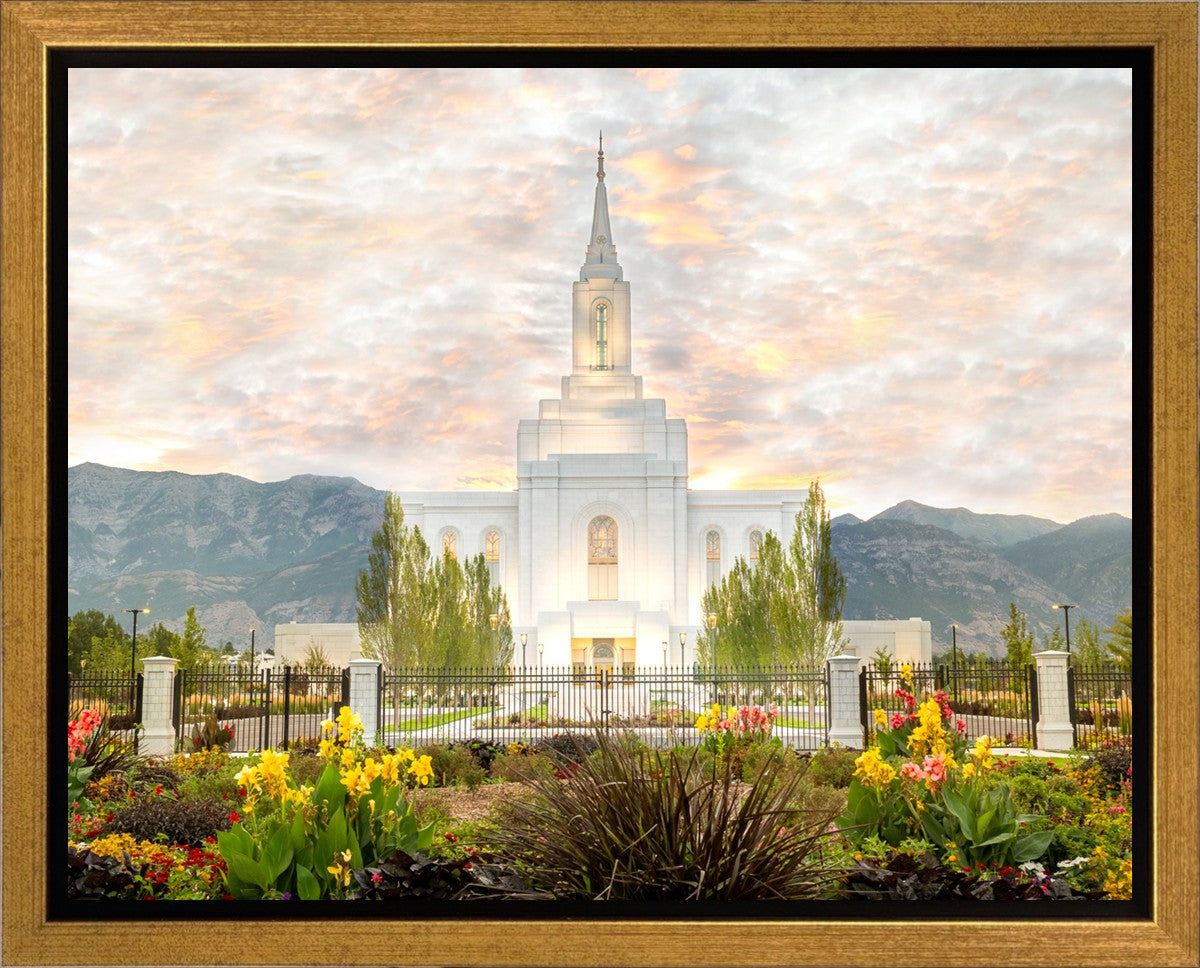 Orem Utah Sunrise Flowers