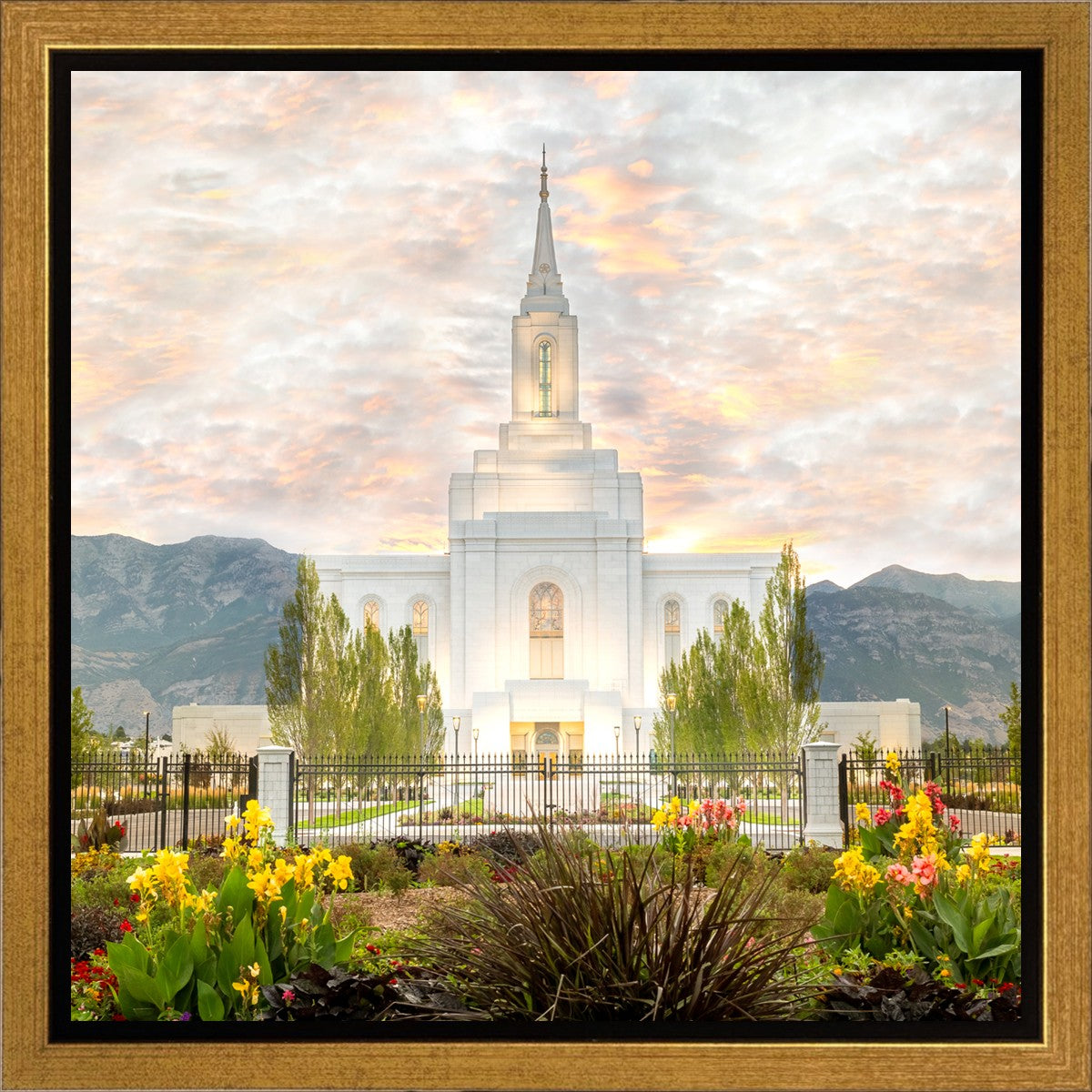 Orem Utah Sunrise Flowers
