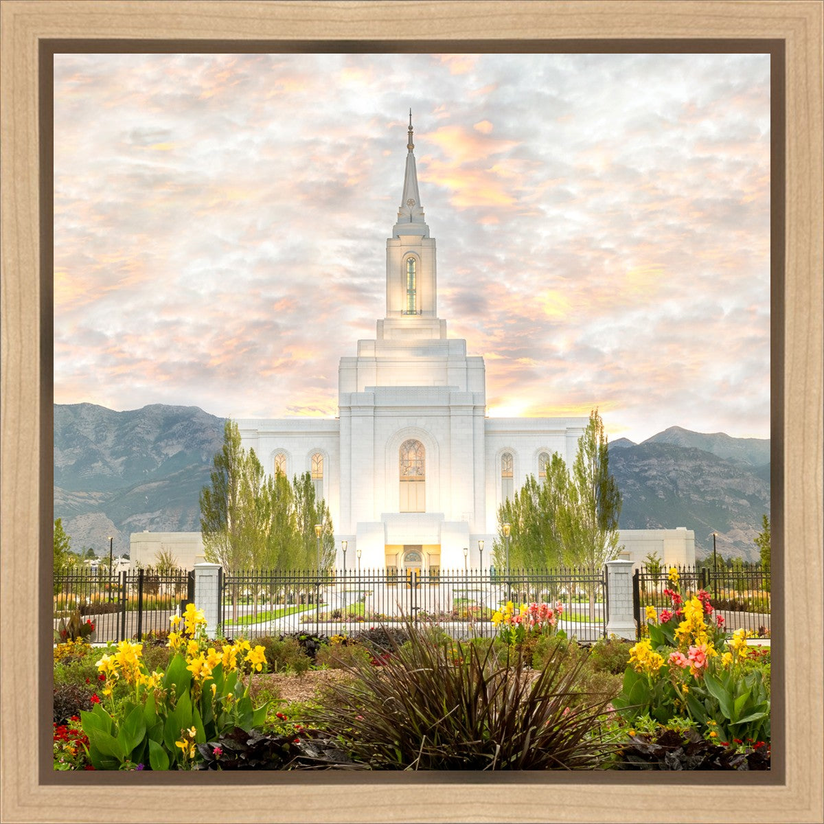 Orem Utah Sunrise Flowers