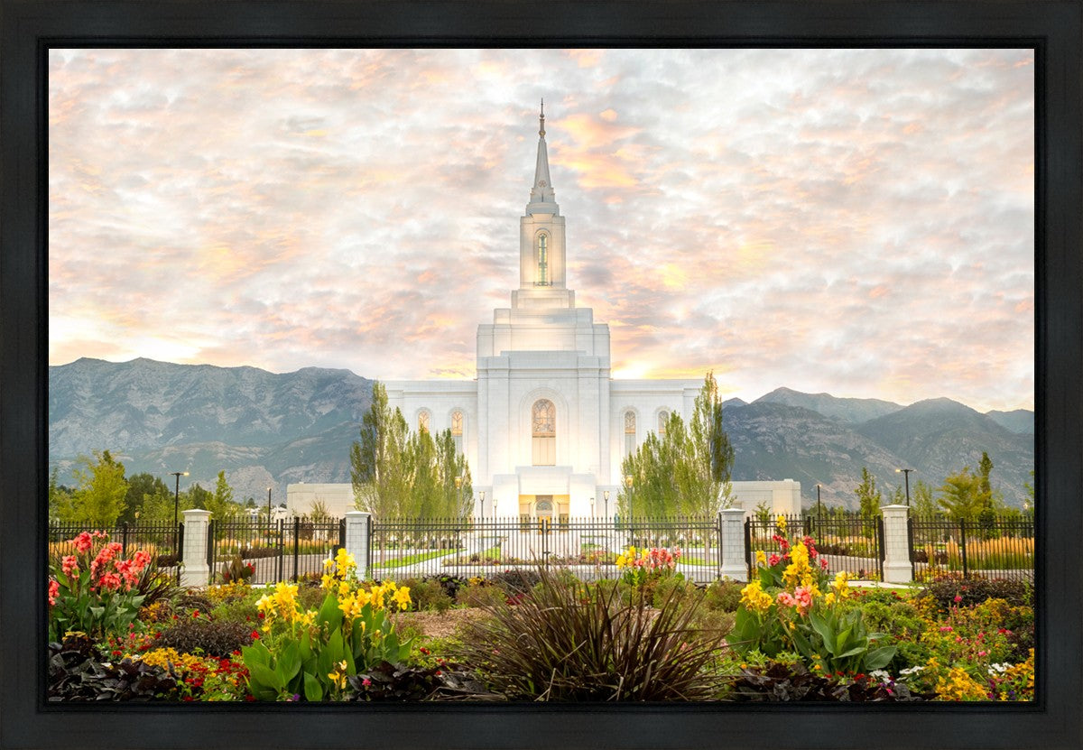 Orem Utah Sunrise Flowers