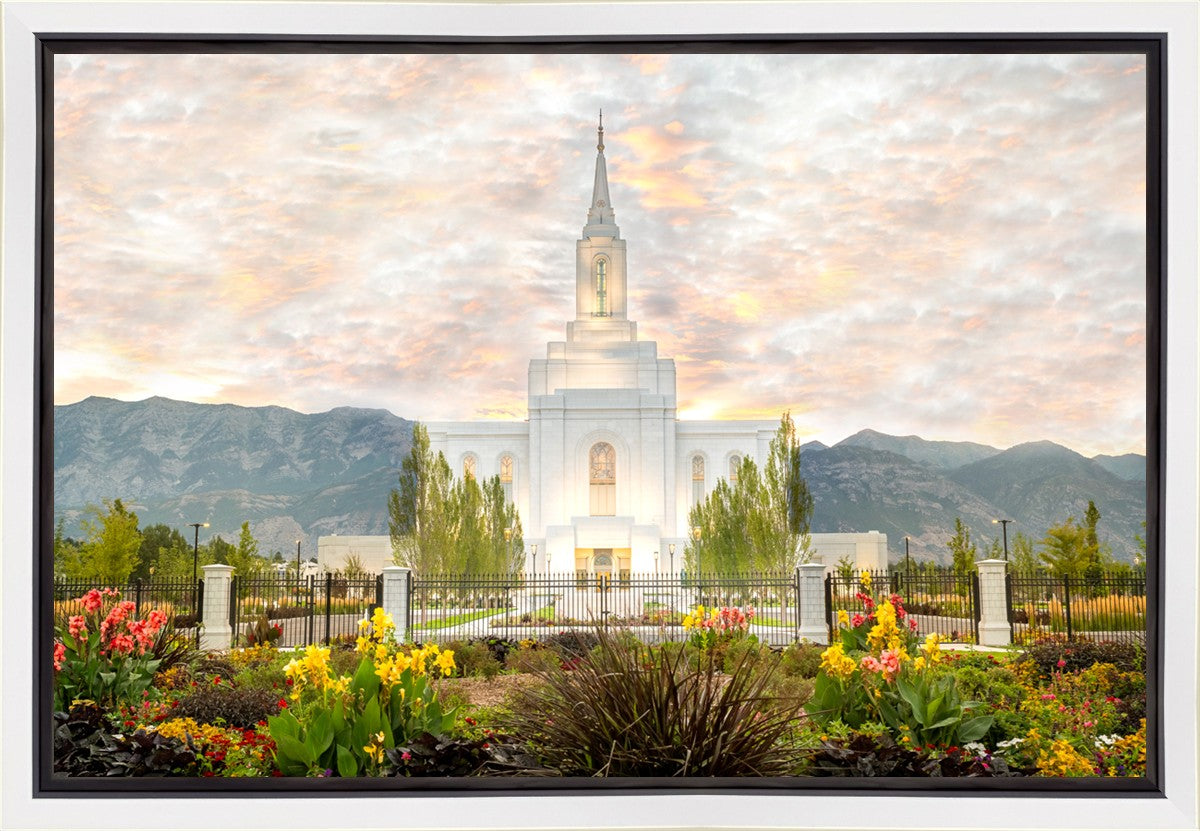 Orem Utah Sunrise Flowers