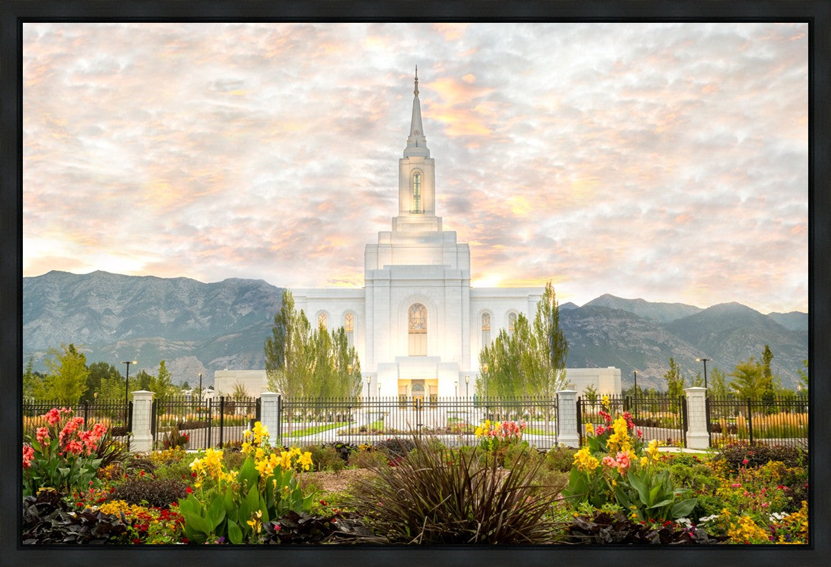 Orem Utah Sunrise Flowers