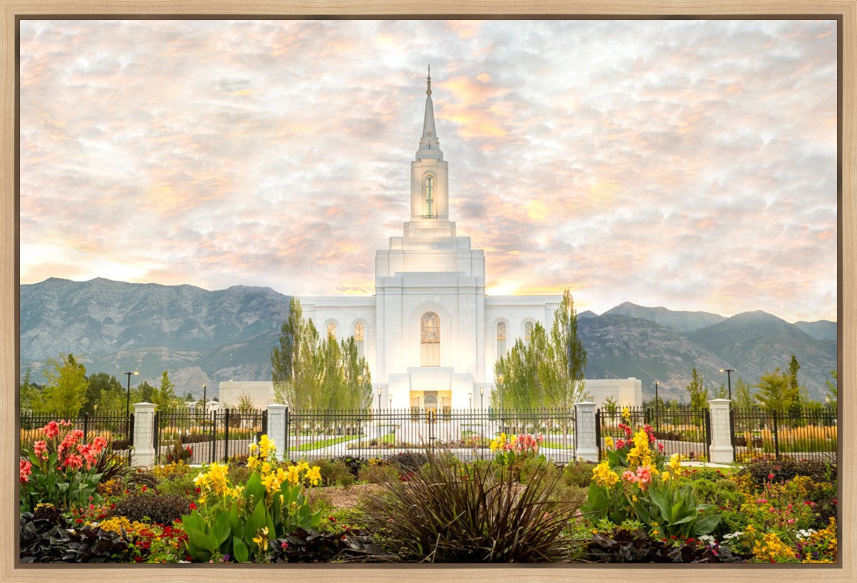 Orem Utah Sunrise Flowers