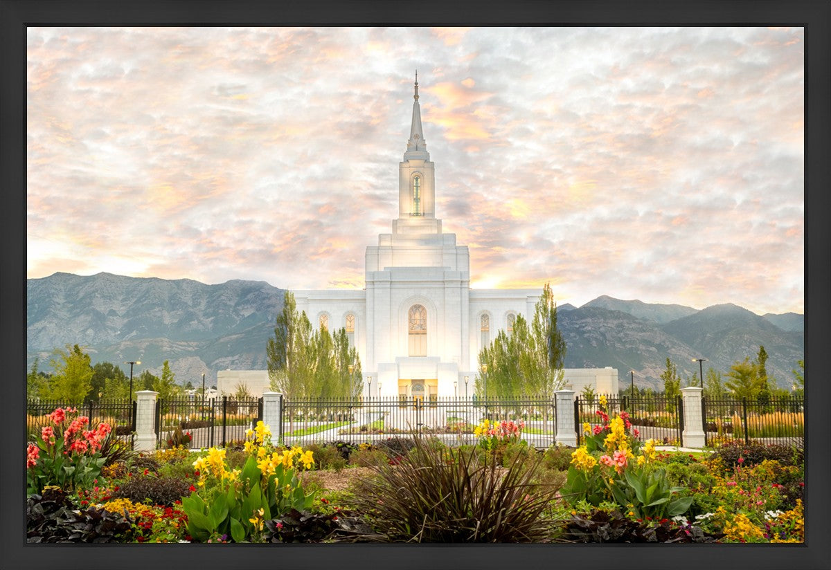 Orem Utah Sunrise Flowers