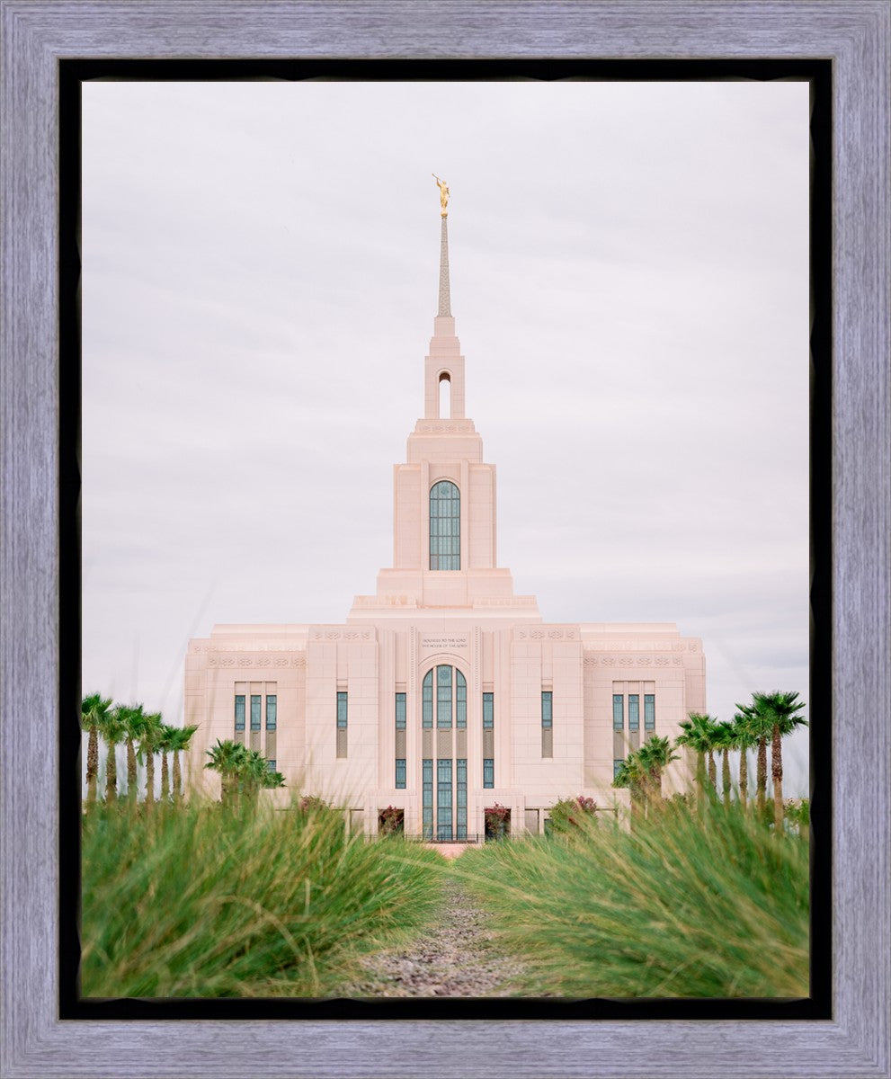 Red Cliffs Utah Palm Trees