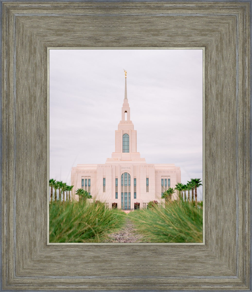 Red Cliffs Utah Palm Trees
