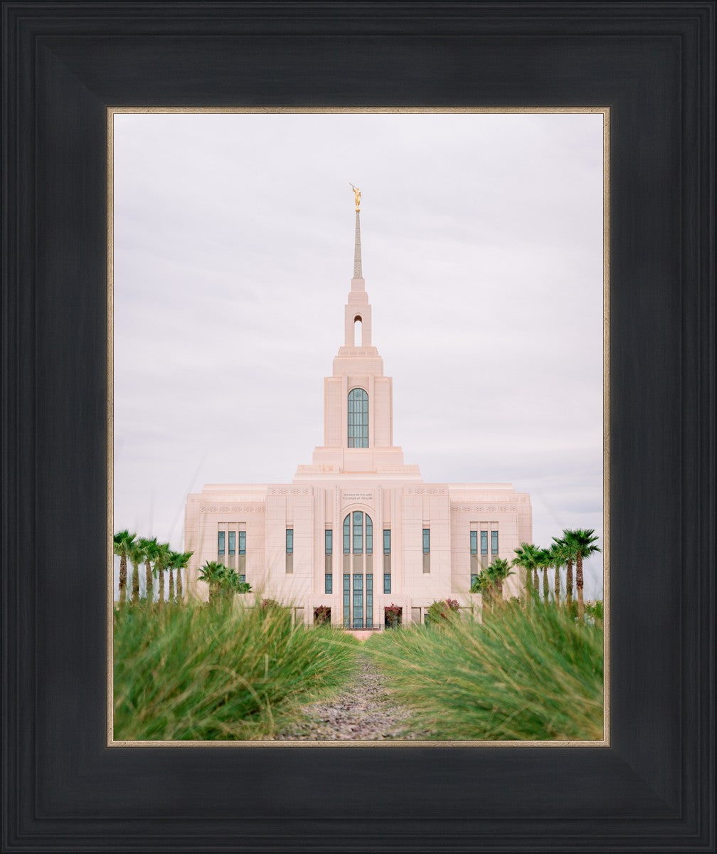 Red Cliffs Utah Palm Trees