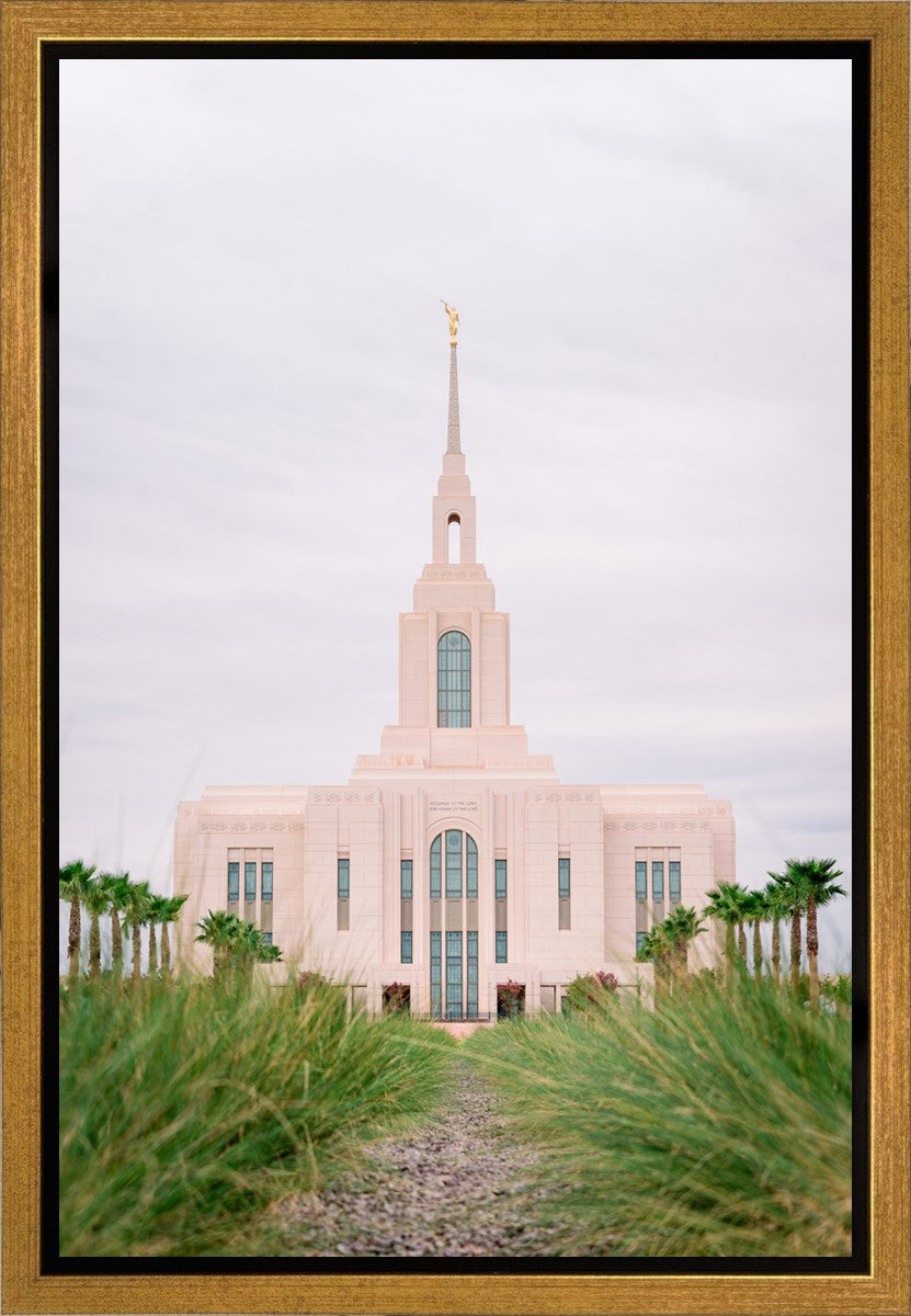 Red Cliffs Utah Palm Trees
