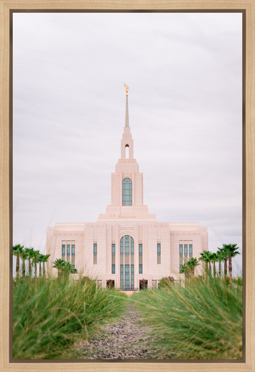Red Cliffs Utah Palm Trees