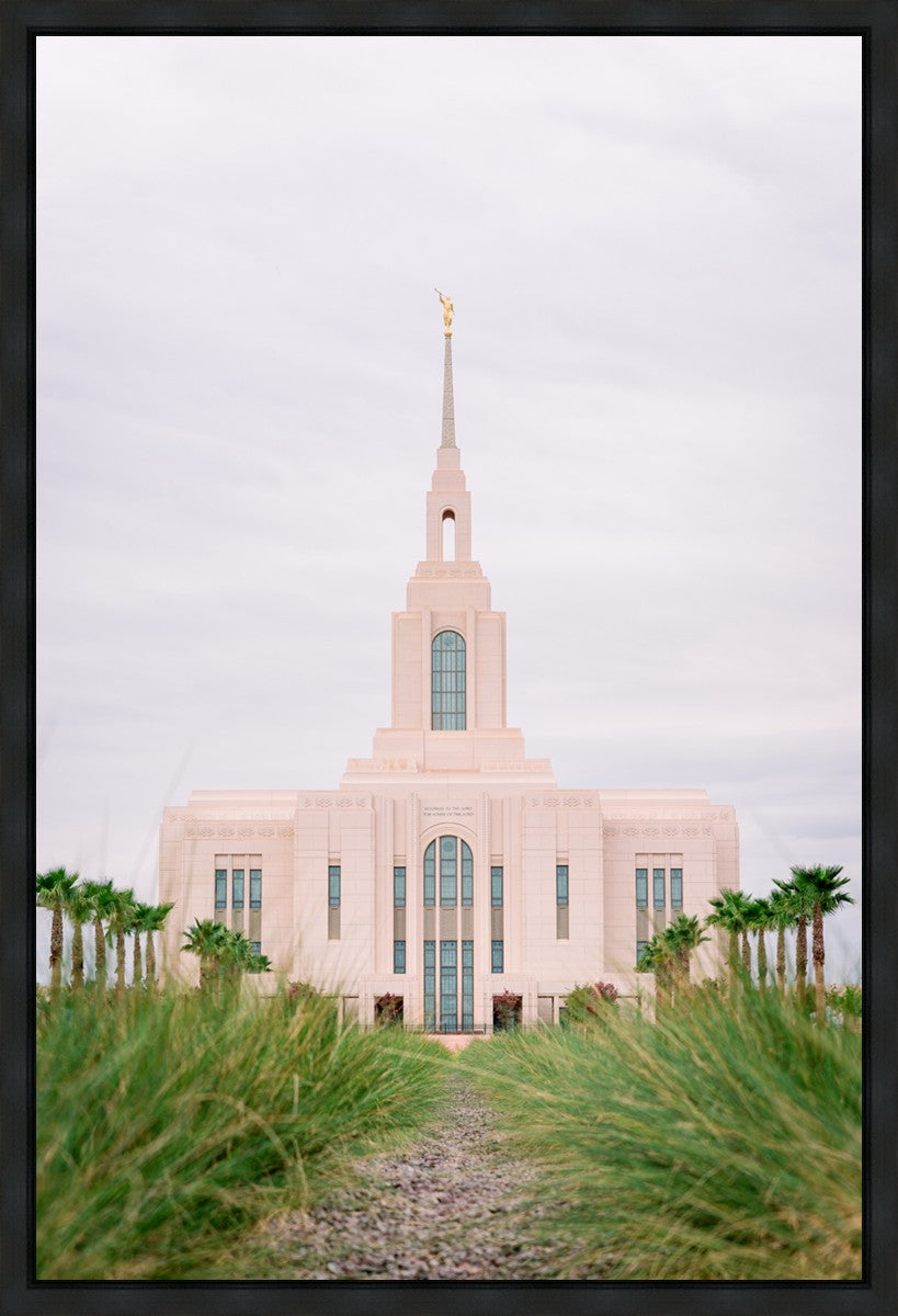 Red Cliffs Utah Palm Trees