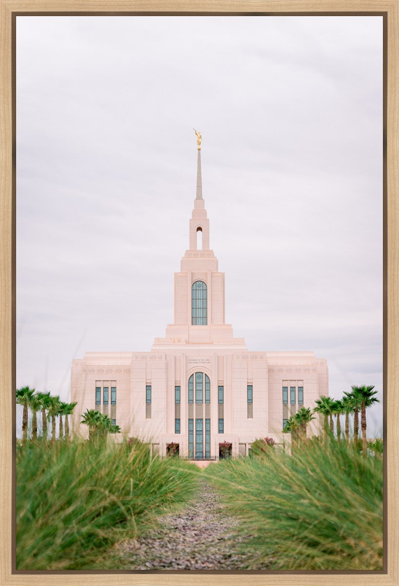 Red Cliffs Utah Palm Trees