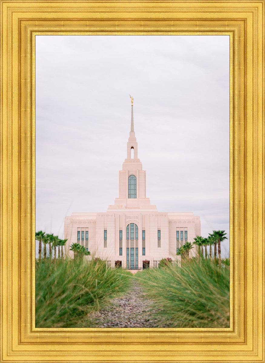 Red Cliffs Utah Palm Trees