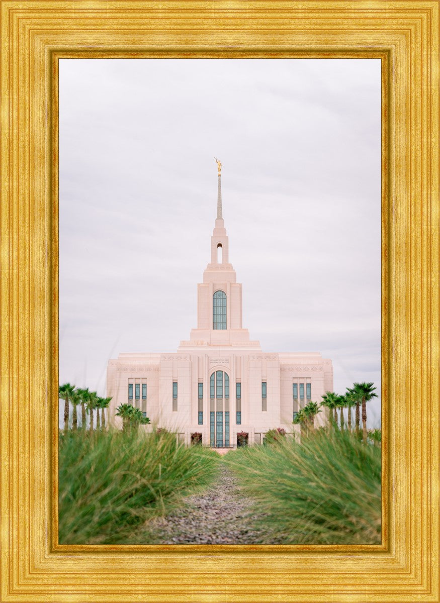 Red Cliffs Utah Palm Trees