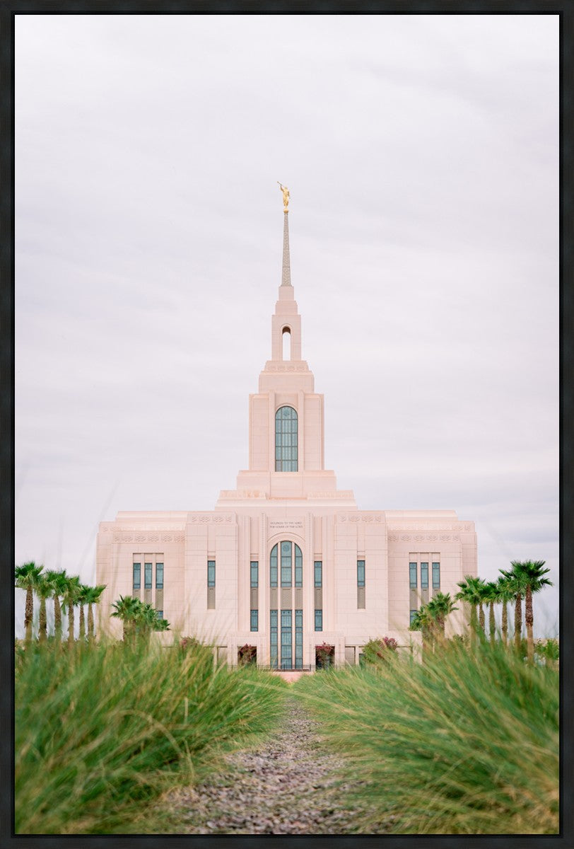 Red Cliffs Utah Palm Trees