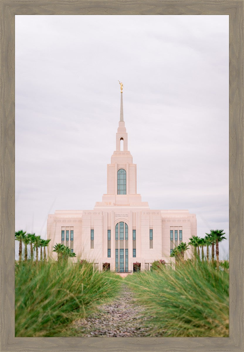 Red Cliffs Utah Palm Trees