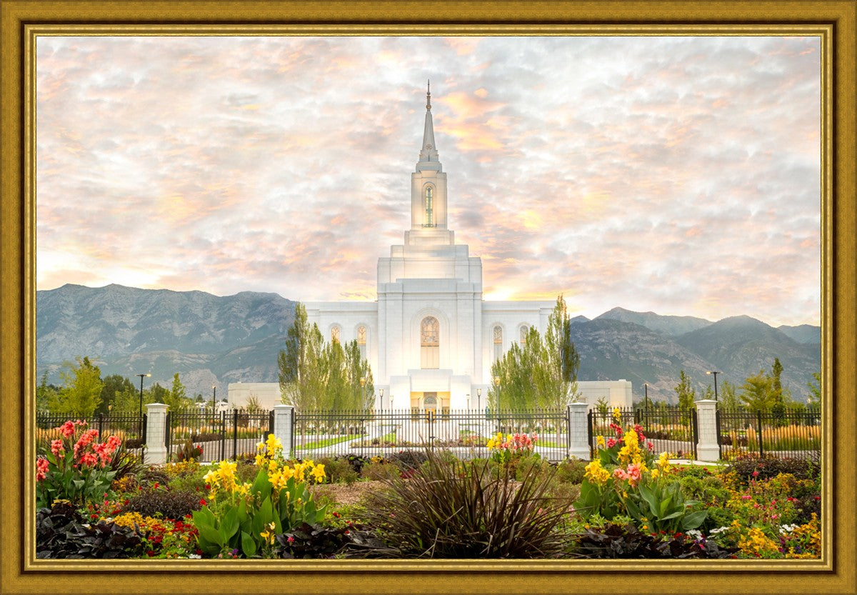 Orem Utah Sunrise Flowers