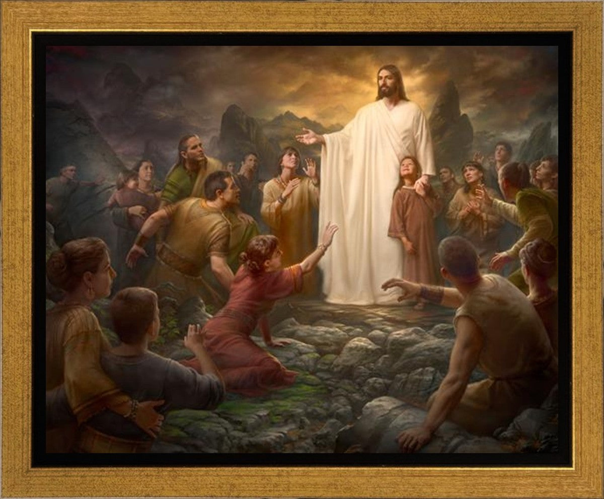 One Shepherd