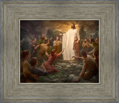 One Shepherd