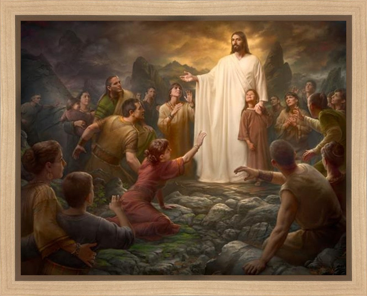One Shepherd