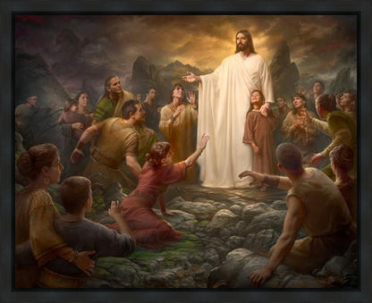 One Shepherd