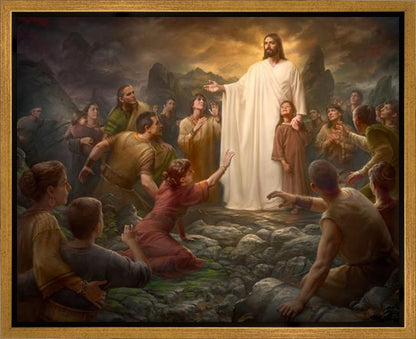 One Shepherd