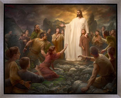 One Shepherd