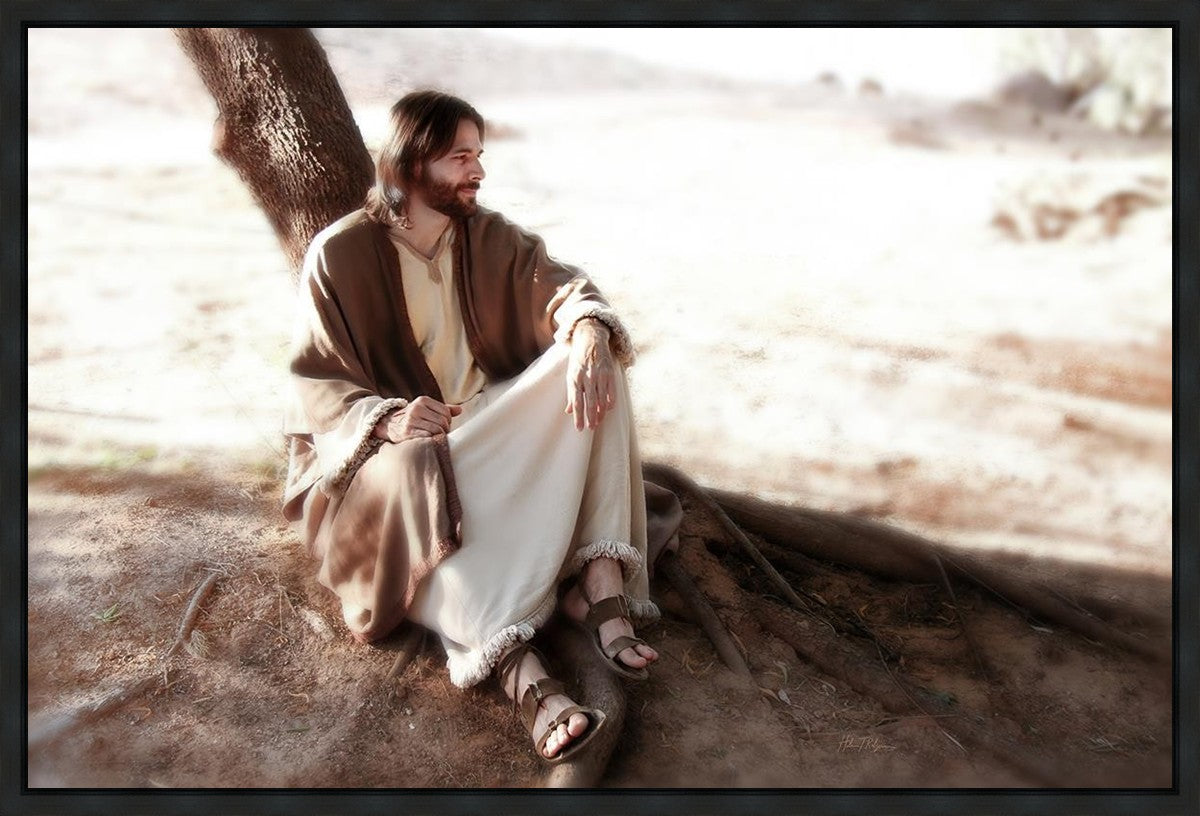 The Solitude of Christ