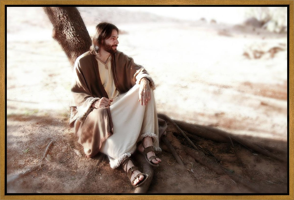 The Solitude of Christ
