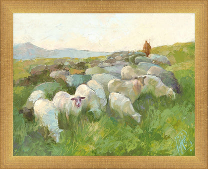 In The Care of The Shepherd