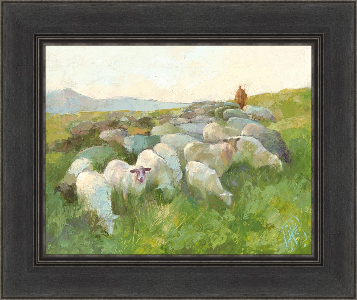 In The Care of The Shepherd