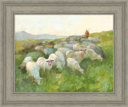 In The Care of The Shepherd
