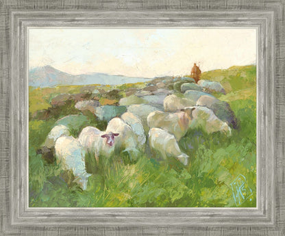 In The Care of The Shepherd