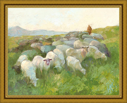 In The Care of The Shepherd