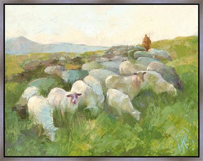 In The Care of The Shepherd