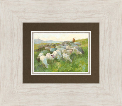 In The Care of The Shepherd