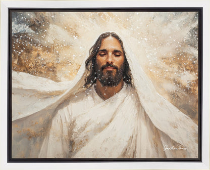 The Light of Life